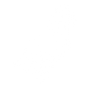 chickens drawing